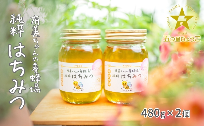 はちみつ 五つ星ひょうご認定商品 有美ちゃんの養蜂場の純粋はちみつ 480g 2個 セット ハチミツ 蜂蜜 非加熱 生はちみつ 国産 セット ハニー 加工品