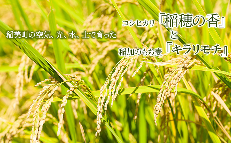 米セット コシヒカリ 稲穂の香 5kg 稲加のもち麦 キラリモチ 2kg セット 詰め合わせ 米 精米 白米 お米 こめ コメ 最高級米 ご飯 ごはん もち麦 国産 大麦 食物繊維 低糖質 高タンパク 健康 健康食品 ダイエット 兵庫県産 兵庫 兵庫県 稲美町