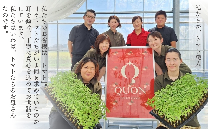 QUON トマトのソルベ 6個入[ アイス ソルベ アイスクリーム ]