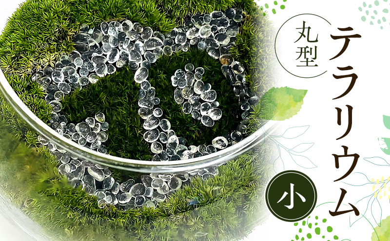 丸型テラリウム（小）