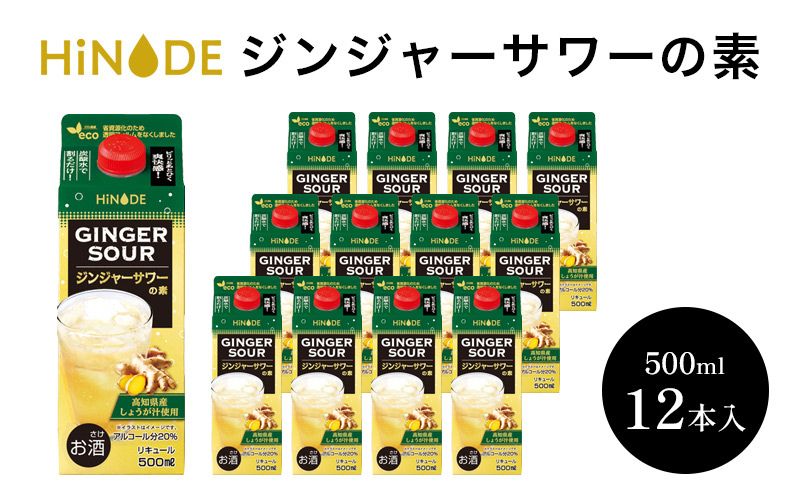 HiNODE ジンジャーサワーの素 500ml×12本 1ケース
