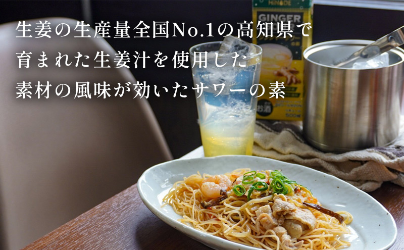 HiNODE ジンジャーサワーの素 500ml×12本 1ケース