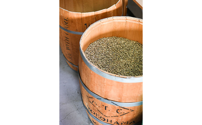 辟咏守処逅イ縲繝峨Μ繝繝励ヰ繝繧ーシ域ッ埼後サ蜉蜿、繝サ螟ゥ貅シ峨蜷5繝代ャ繧ッ縲險15繝代ャ繧ッ縲仙ョカ蠎ュ逕ィ縲