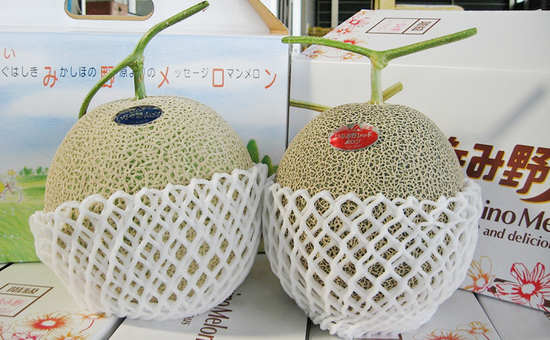 メロン ひょうご推奨ブランド いなみ野メロン 2玉 5Lサイズ フルーツ めろん 果物 フルーツ 果物類 