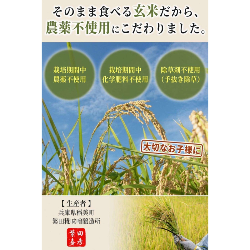 雑穀米 いなみ野 古代三色米 500g 国産 雑穀 玄米 黒米 赤米 古代米 米 お米 ブレンド米 混ぜるだけ 雑穀ごはん 健康 兵庫県産 兵庫 兵庫県 稲美町