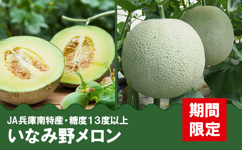 メロン ひょうご推奨ブランド いなみ野メロン 2玉 5Lサイズ フルーツ めろん 果物 フルーツ 果物類