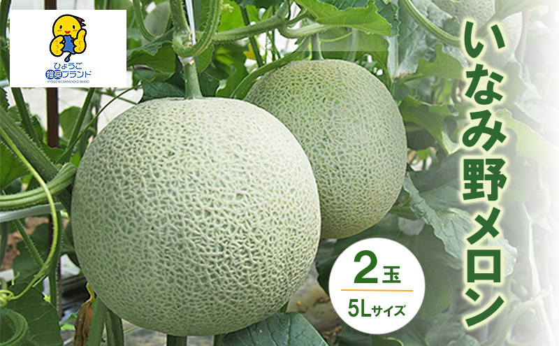 メロン ひょうご推奨ブランド いなみ野メロン 2玉 5Lサイズ フルーツ めろん 果物 フルーツ 果物類 