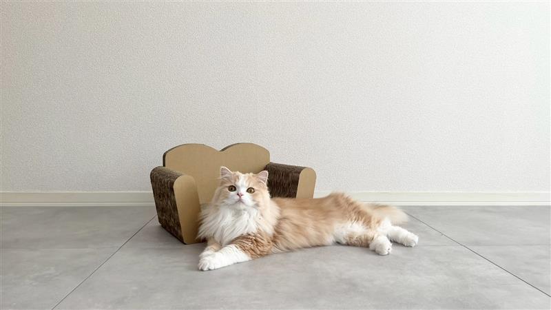 猫 爪とぎ ねこ用 ソファ ねこ ネコ 爪 爪研ぎ ペット ペットグッズ ペット用 お手入れ用品 爪ケア用品 雑貨 ペット用品 日用品 