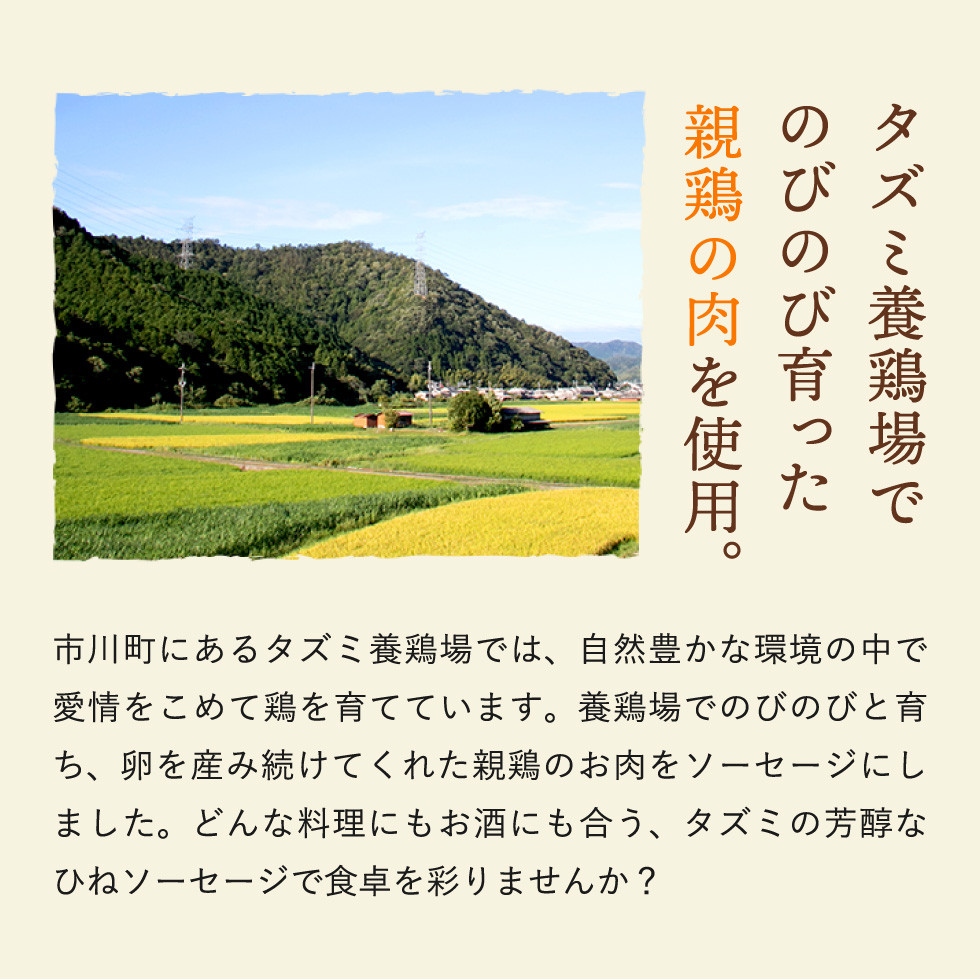 ãã¿ã®ããã³ãœãŒã»ãŒãžïŒ5æ¬å
¥Ã2ããã¯ïŒ005AB01N.ïŒé¶è 芪鳥 ãœãŒã»ãŒãž é³¥è ãšãã«ã ã²ãã©ã ã²ãé¶ ããã³ ãŠã£ã³ã㌠ããã³ãŠã€ã³ã㌠é¶ãœãŒã»ãŒãž ããè ã¢ãŠãã㢠ããŒããã¥ãŒ BBQ ãåŒåœ ããã ãã€ãŸã¿ æ£è å°åã åœç£ å·å