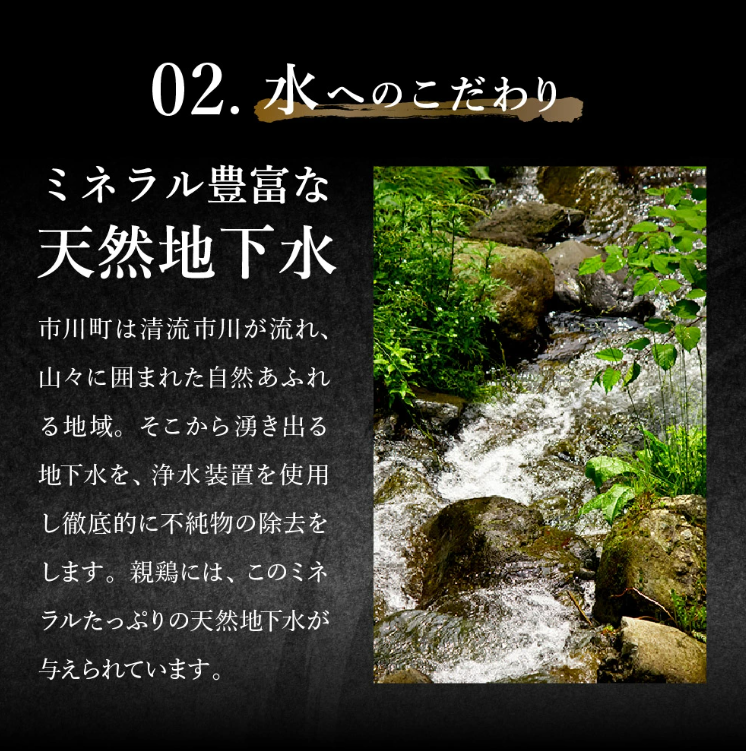 たずみの「ひね鶏」セット（スライス 200g・小間切れ 200g）003AB03N.／鶏肉 親鳥 鳥肉 とりにく ひねどり ひね鶏 チキン とり肉 もも 肉 モモ肉 胸肉 ムネ肉 こま切れ 細切れ 鶏むね肉 鍋 親子丼 唐揚げ 筑前煮 焼き鳥 小分け 真空パック 国産 冷凍