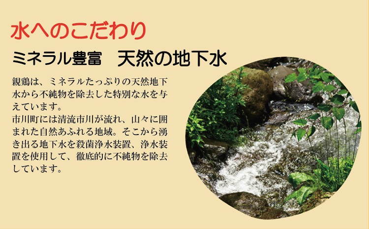 【TVで紹介されました】定期便】タズミの卵Ｍサイズ（20個×6か月）030AB02N.／こだわり卵 市川町産 兵庫県産 たまご たまごかけご飯 玉子 生卵 鶏卵 タマゴ 卵焼き TKG 6か月 定期便