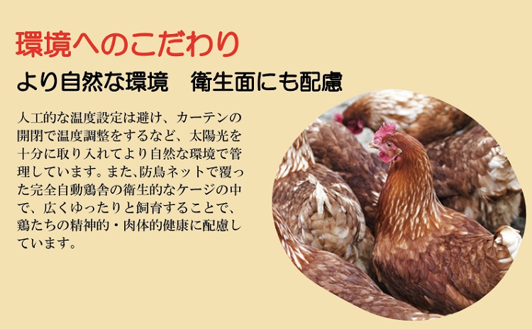 【TVで紹介されました】定期便】タズミの卵Ｍサイズ（20個×6か月）030AB02N.／こだわり卵 市川町産 兵庫県産 たまご たまごかけご飯 玉子 生卵 鶏卵 タマゴ 卵焼き TKG 6か月 定期便