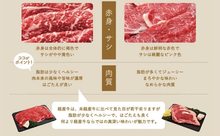 但馬牛経産牛「焼肉用」（肩・モモ）1kg(500g×2)　020AA11N.／焼肉セット 黒毛和牛 いちかわ精肉店 経産牛 牛肉 国産 bbq バーベキュー 焼き肉セット アウトドア キャンプ 冷凍 焼き肉用