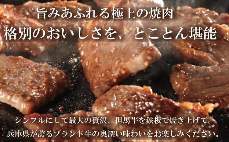 但馬牛経産牛「焼肉用」（肩・モモ）1kg(500g×2)　020AA11N.／焼肉セット 黒毛和牛 いちかわ精肉店 経産牛 牛肉 国産 bbq バーベキュー 焼き肉セット アウトドア キャンプ 冷凍 焼き肉用