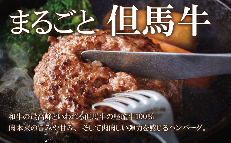 但馬牛経産牛ハンバーグ（150g×10個）020AA09N.／個包装 牛肉 黒毛和牛 100% 国産 経産牛 和牛 赤身 味付け ほくぶ バーベキュー bbq キャンプ アウトドア 焼肉 小分け 簡単調理 セット 詰め合わせ 詰合せ 冷凍 お弁当 おかず