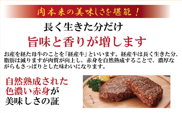 但馬牛経産牛ハンバーグ（150g×10個）020AA09N.／個包装 牛肉 黒毛和牛 100% 国産 経産牛 和牛 赤身 味付け ほくぶ バーベキュー bbq キャンプ アウトドア 焼肉 小分け 簡単調理 セット 詰め合わせ 詰合せ 冷凍 お弁当 おかず