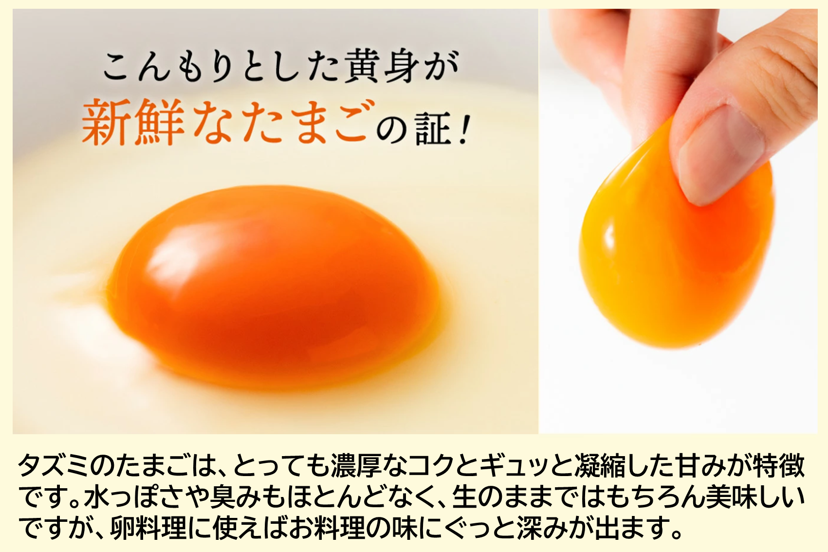 【TVで紹介されました】タズミの卵Ｍサイズ（20個）005AB02N.／こだわり卵 市川町産 兵庫県産 たまご たまごかけご飯 玉子 生卵 鶏卵 タマゴ 卵焼き TKG