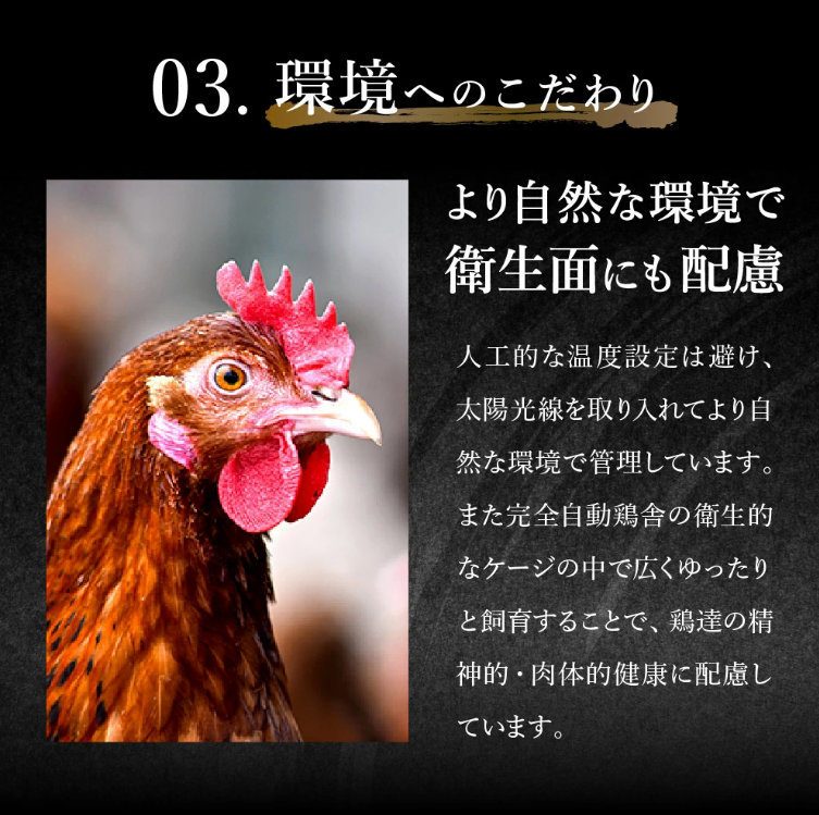 たずみの「ひね鶏」小間切れ（小間切れ 200g×2パック）003AB02N.／鶏肉 親鳥 鳥肉 とりにく ひねどり ひね鶏 チキン とり肉 にく もも 肉 モモ肉 胸肉 ムネ肉 セット細切れ 細切り 鶏むね肉 鍋 親子丼 唐揚げ 筑前煮 焼き鳥 小分け 真空パック 国産 冷凍