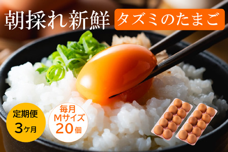 【TVで紹介されました】【定期便】タズミの卵Ｍサイズ（20個×3か月）015AB02N.／こだわり卵 市川町産 兵庫県産 たまご たまごかけご飯 玉子 生卵 鶏卵 タマゴ 卵焼き TKG 3か月 定期便