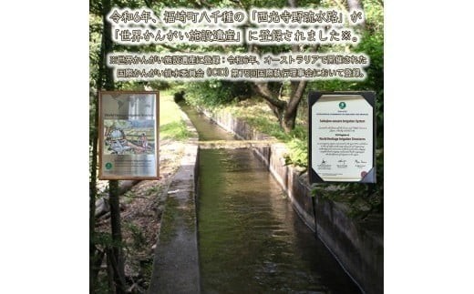 【精米】【 最短 翌日発送 】令和7年産 ヒノヒカリ 八千種米 お米 10kg ごはん 兵庫県産 世界かんがい施設遺産登録『西光寺野疏水路』