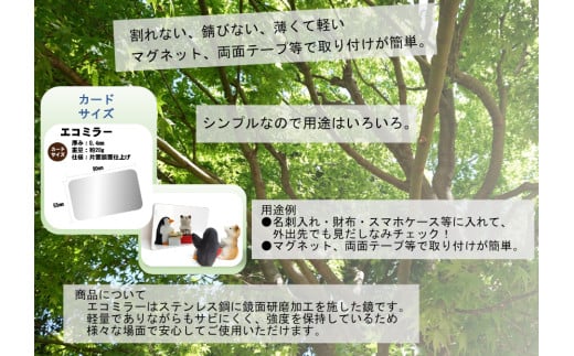 Eco Mirror　さきちゃん