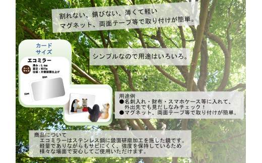 Eco Mirror　ふくちゃん