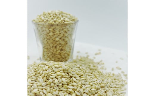 鄒主袖縺励&繝斐き繧、繝!謌仙繝斐き繧、繝!繧ゅ■鮗ヲ縺ッ縲守ヲ冗セ弱上↓豎コ縺セ繧!!蠕ウ逕ィ4.3kg