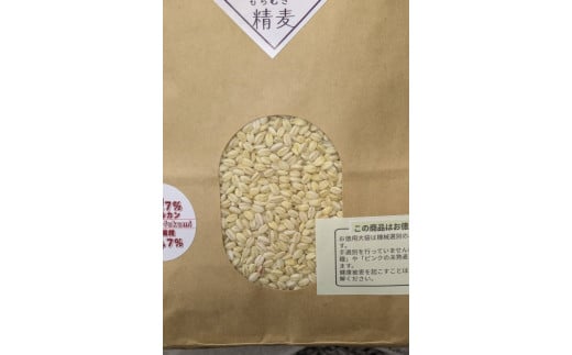 鄒主袖縺励&繝斐き繧、繝!謌仙繝斐き繧、繝!繧ゅ■鮗ヲ縺ッ縲守ヲ冗セ弱上↓豎コ縺セ繧!!蠕ウ逕ィ4.3kg