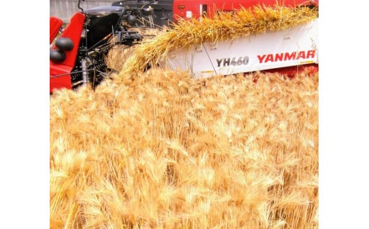 鄒主袖縺励&繝斐き繧、繝!謌仙繝斐き繧、繝!繧ゅ■鮗ヲ縺ッ縲守ヲ冗セ弱上↓豎コ縺セ繧!!蠕ウ逕ィ4.3kg