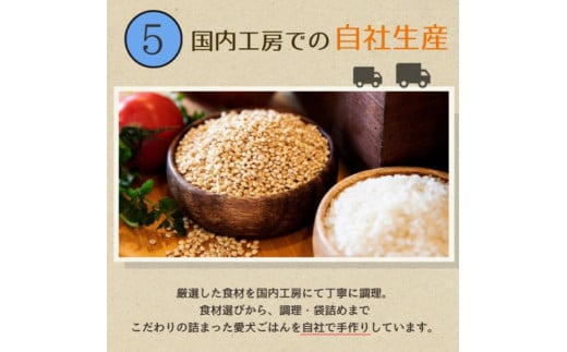 愛犬ごはん【ひとつごはん】とりぽてとオリジナルブレンド500g  無添加 厳選素材 鶏肉 ドッグフード