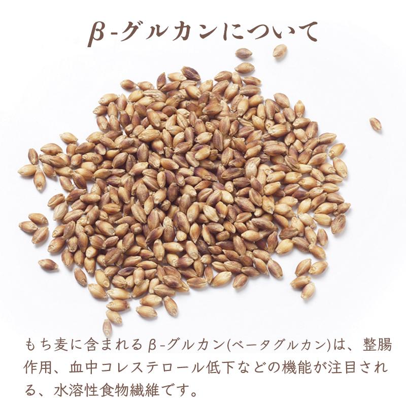 もちむぎ茶6個セット ティーパック10g×15袋 お茶 贈り物 ギフト もち麦