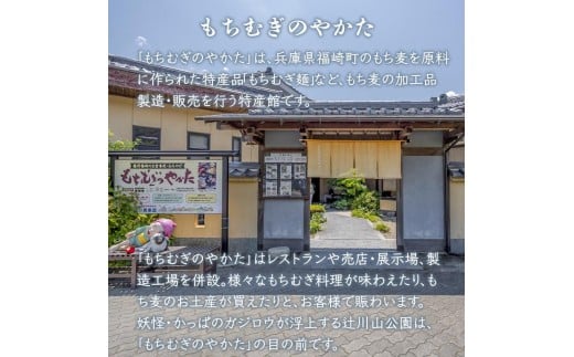 もち麦かりんとうセット 132g×8袋 もちむぎ かりんとう 贈り物 ギフト 小分け