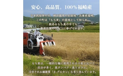 もち麦かりんとうセット 132g×8袋 もちむぎ かりんとう 贈り物 ギフト 小分け