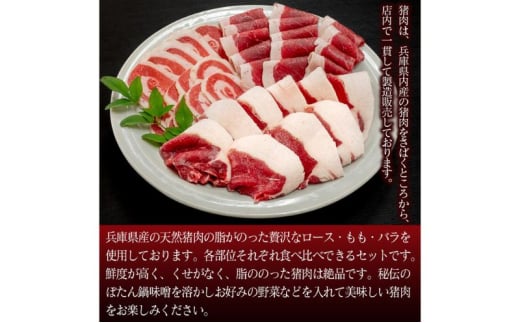 ボタン鍋セット 3～4人前（500g）猪肉（ロース・モモ・バラ）自家製味噌付き