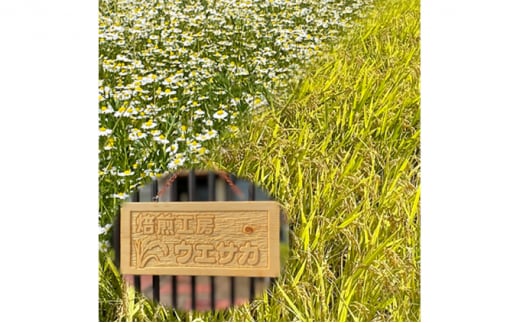 çç
å·¥æ¿ãŠãšãµã«ãªãªãžãã« ç¡èŸ²è¬çç±³ã³ãŒããŒã»ããïŒãã£ãŒããã¯3è¢ïŒç²æ«2è¢ïŒ