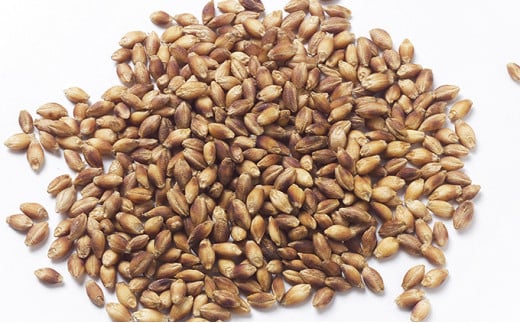 【五つ星ひょうご選定商品 】福崎町特産 もちむぎ 精麦 4kg（1kg×4袋） もち麦