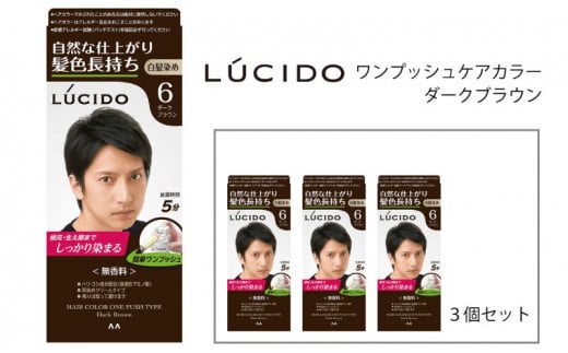 マンダム ルシード ワンプッシュケアカラー ダークブラウン 3個セット MA-16 LUCIDO 白髪染め 毛染め 白髪 カラーリング 男性化粧品