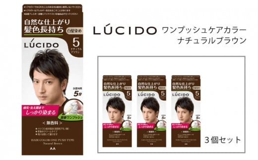マンダム ルシード ワンプッシュケアカラー ナチュラルブラウン 3個セット MA-14 LUCIDO 白髪染め 毛染め 白髪 カラーリング 男性化粧品