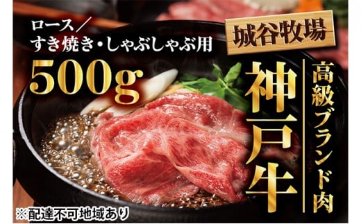 城谷牧場の神戸牛 ロース すき焼き しゃぶしゃぶ 500g 国産牛 和牛 神戸ビーフすきしゃぶ 冷凍