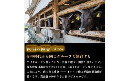 城谷牧場の神戸牛 ロース すき焼き しゃぶしゃぶ 500g 国産牛 和牛 神戸ビーフすきしゃぶ 冷凍