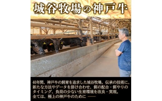 城谷牧場の神戸牛 ロース ステーキ 540g（180g×3枚）国産牛 和牛 神戸ビーフ バーベキュー BBQ 冷凍