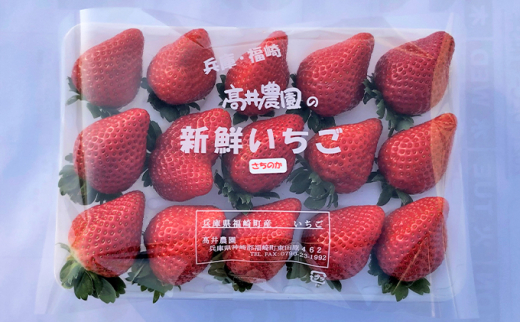 高井農園 季節のいちご詰合せ 1パック(約12～18個)