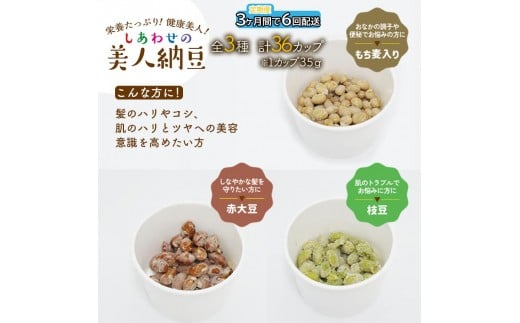 定期便 3か月間 6回お届け 計36パック しあわせの美人納豆　【 赤大豆 / もち麦入り / 枝豆 】 35g×6パックを隔週でお届け 自分へのご褒美 キレイをサポート 美容意識 健康食品 納豆 大豆