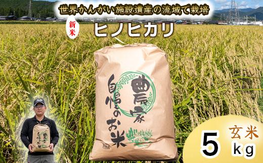 【 玄米 新米 】令和7年度産　ヒノヒカリ 八千種米　お米 5kg　ごはん　兵庫県産　世界かんがい施設遺産登録『西光寺野疏水路』