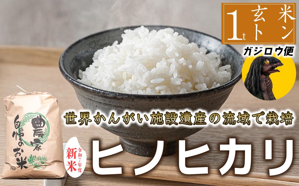 【河童のガジロウがお届け！！】令和7年度産 玄米 ヒノヒカリ 八千種米 お米 1000kg ごはん 兵庫県産 世界かんがい施設遺産登録『西光寺野疏水路』