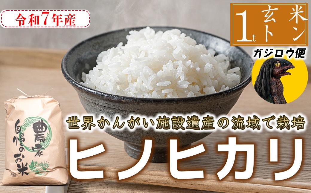 【河童のガジロウがお届け！！】令和7年産 玄米 ヒノヒカリ 八千種米 お米 1000kg ごはん 兵庫県産 世界かんがい施設遺産登録『西光寺野疏水路』
