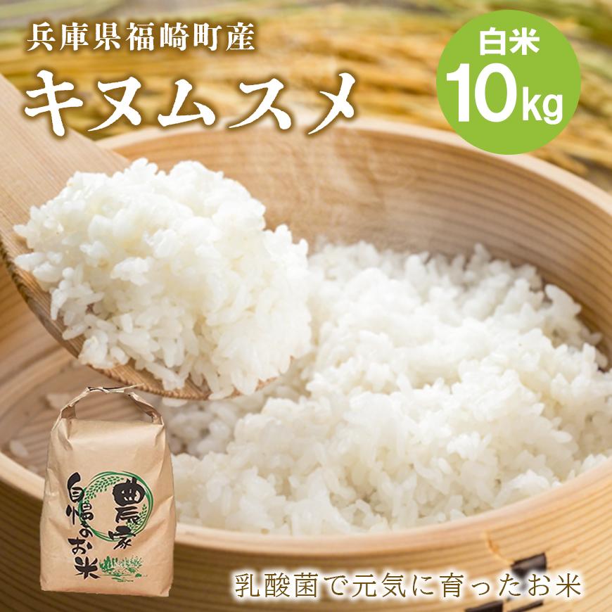 白米 10kg 令和7年産 兵庫県産キヌムスメ 【食味スコア80】 冷めても美味しい おにぎりにおすすめ お弁当におすすめ