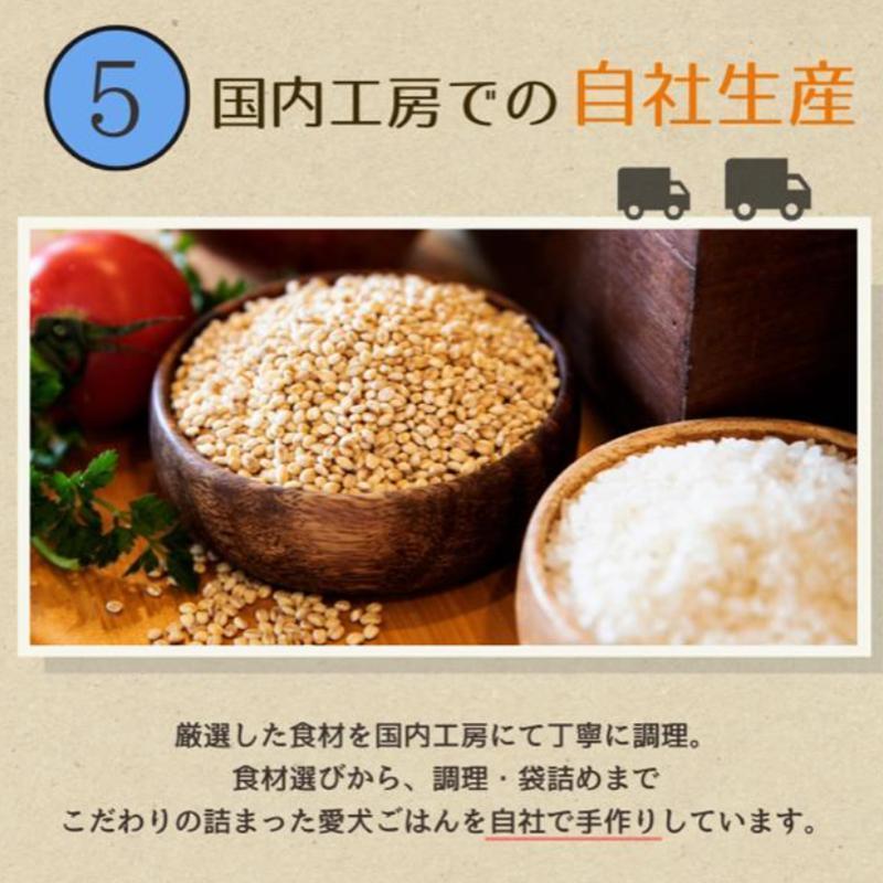 【定期便6か月】愛犬ごはん【ひとつごはん】とりぽてと500g 250g×2 無添加 厳選素材 鶏肉 ドッグフード
