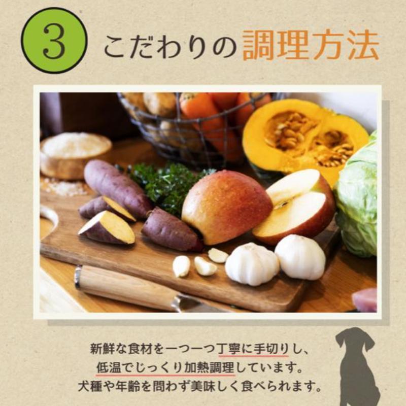 【定期便6か月】愛犬ごはん【ひとつごはん】とりぽてと500g 250g×2 無添加 厳選素材 鶏肉 ドッグフード