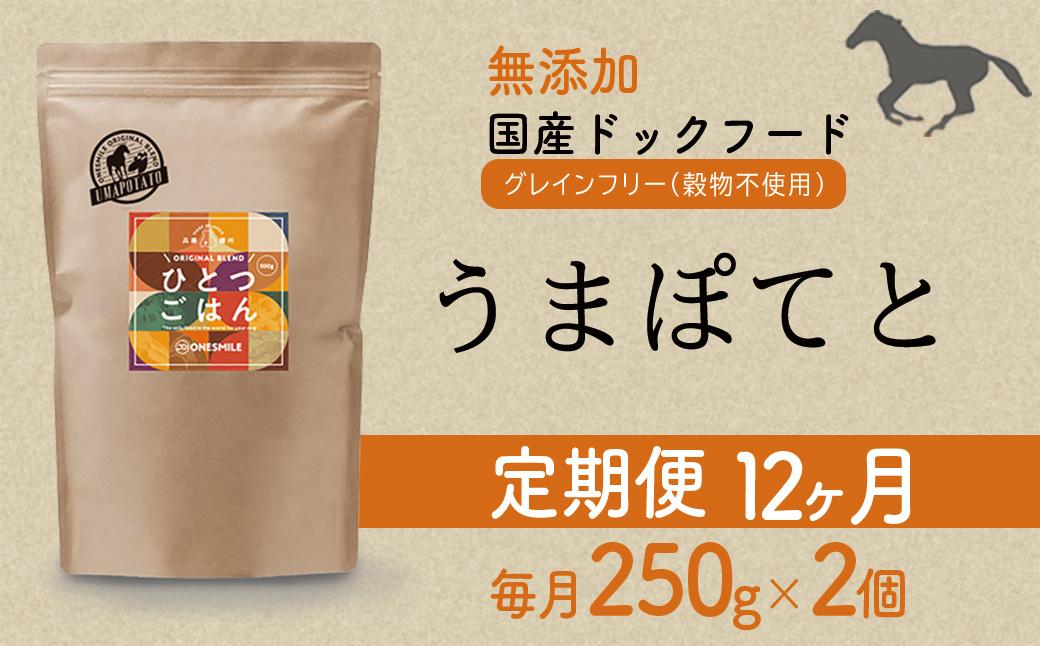 【定期便12か月】愛犬ごはん【ひとつごはん】うまぽてと500g 250g×2